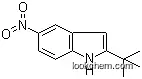 Molecular Structure of 174274-85-2 (2-tert-butyl-5-nitro-1H-indole)